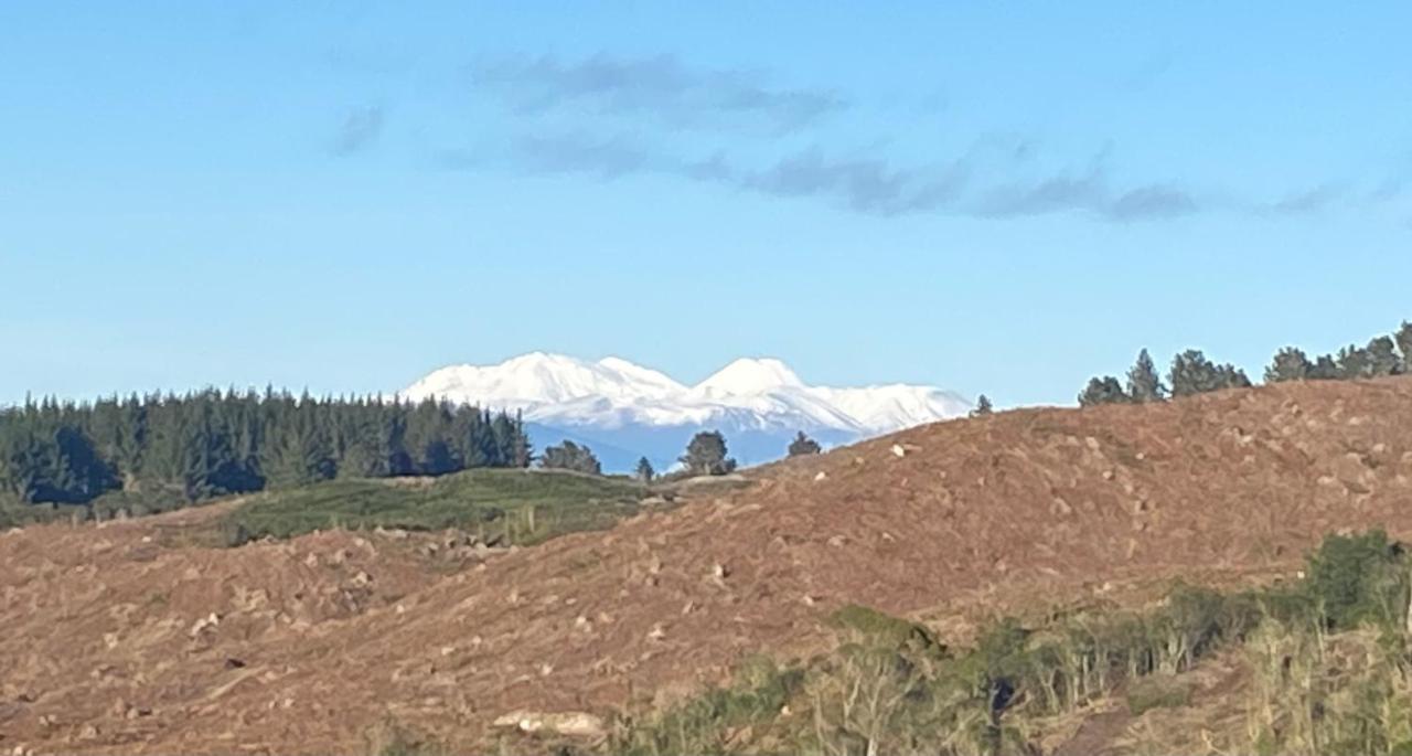 The Nest - Lake Taupo Zewnętrze zdjęcie
